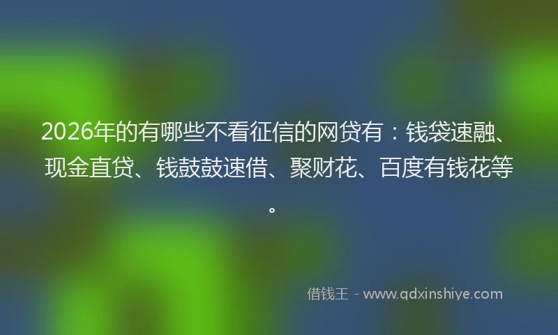 2026年的有哪些不看征信的网贷有：钱袋速融、现金直贷、钱鼓鼓速借、聚财花、百度有钱花等。