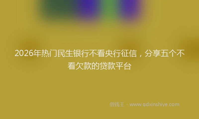2026年热门民生银行不看央行征信，分享五个不看欠款的贷款平台