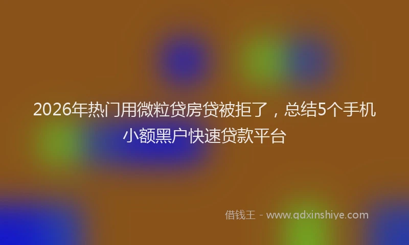 2026年热门用微粒贷房贷被拒了，总结5个手机小额黑户快速贷款平台