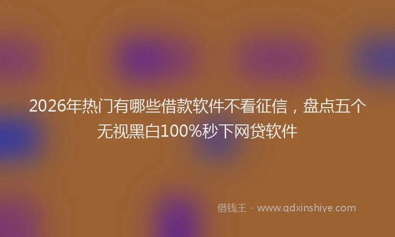 2026年热门有哪些借款软件不看征信,盘点五个无视黑白100%秒下网贷软件