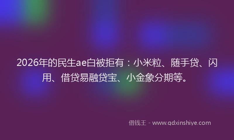 2026年的民生ae白被拒有：小米粒、随手贷、闪用、借贷易融贷宝、小金象分期等。