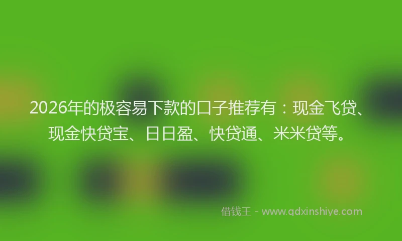 2026年的极容易下款的口子推荐有：现金飞贷、现金快贷宝、日日盈、快贷通、米米贷等。