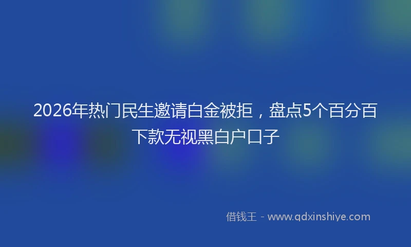 2026年热门民生邀请白金被拒,盘点5个百分百下款无视黑白户口子