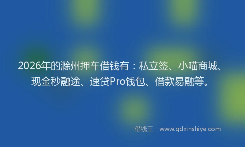 2026年的滁州押车借钱有：私立签、小喵商城、现金秒融途、速贷Pro钱包、借款易融等。