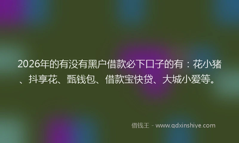 2026年的有没有黑户借款必下口子的有：花小猪、抖享花、甄钱包、借款宝快贷、大城小爱等。