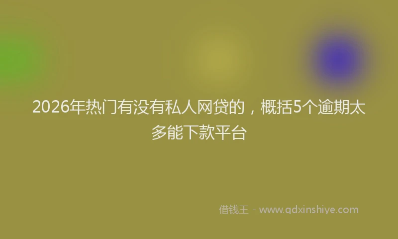 2026年热门有没有私人网贷的，概括5个逾期太多能下款平台