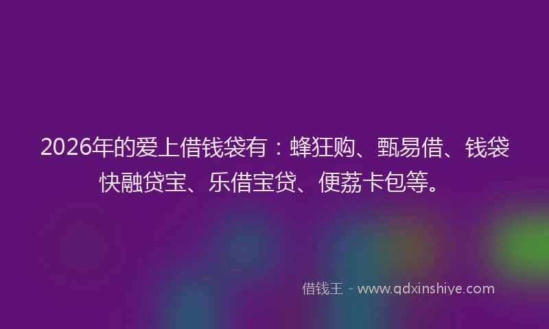 2026年的爱上借钱袋有：蜂狂购、甄易借、钱袋快融贷宝、乐借宝贷、便荔卡包等。