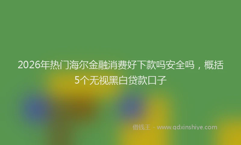 2026年热门海尔金融消费好下款吗安全吗，概括5个无视黑白贷款口子
