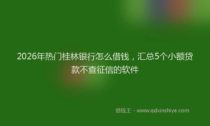 2026年热门桂林银行怎么借钱，汇总5个小额贷款不查征信的软件