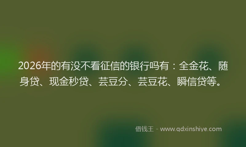 2026年的有没不看征信的银行吗有：全金花、随身贷、现金秒贷、芸豆分、芸豆花、瞬信贷等。