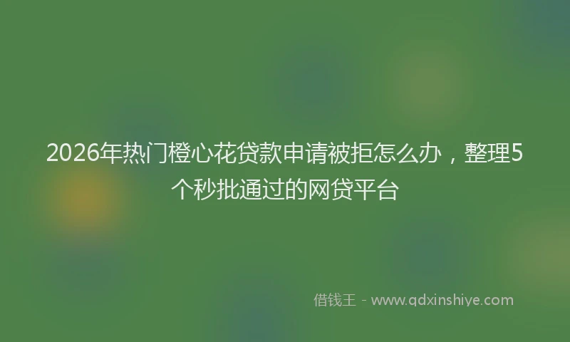 2026年热门橙心花贷款申请被拒怎么办，整理5个秒批通过的网贷平台