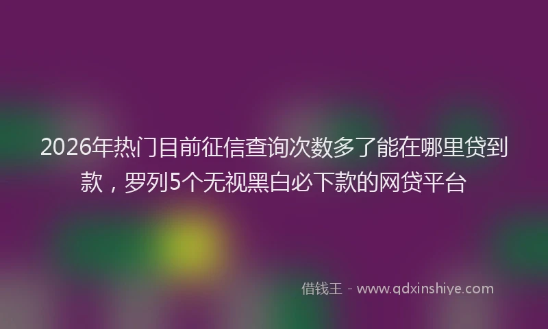 2026年热门目前征信查询次数多了能在哪里贷到款，罗列5个无视黑白必下款的网贷平台