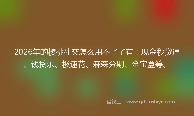 2026年的樱桃社交怎么用不了了有：现金秒贷通、钱贷乐、极速花、森森分期、金宝盒等。