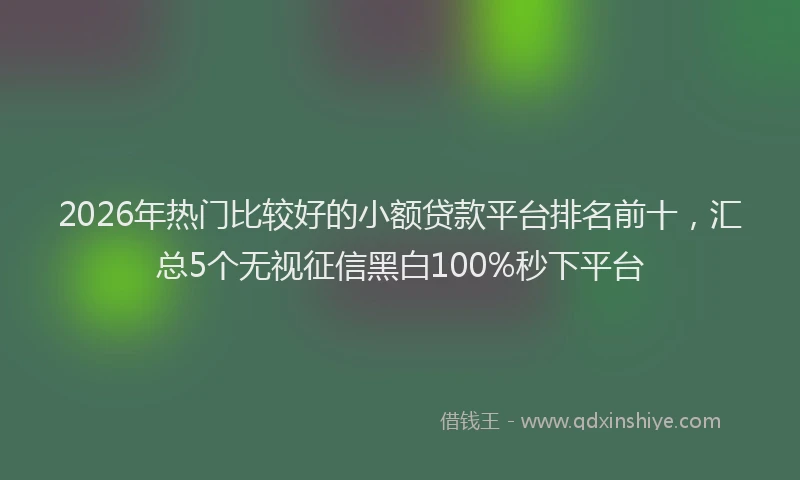 2026年热门比较好的小额贷款平台排名前十，汇总5个无视征信黑白100%秒下平台