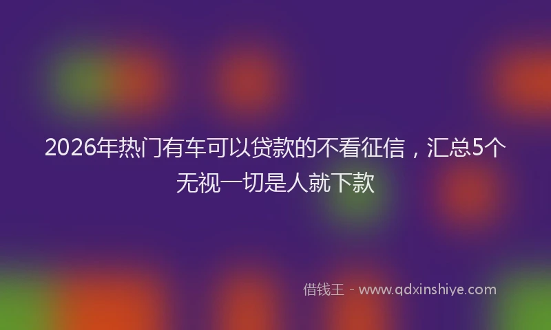 2026年热门有车可以贷款的不看征信，汇总5个无视一切是人就下款
