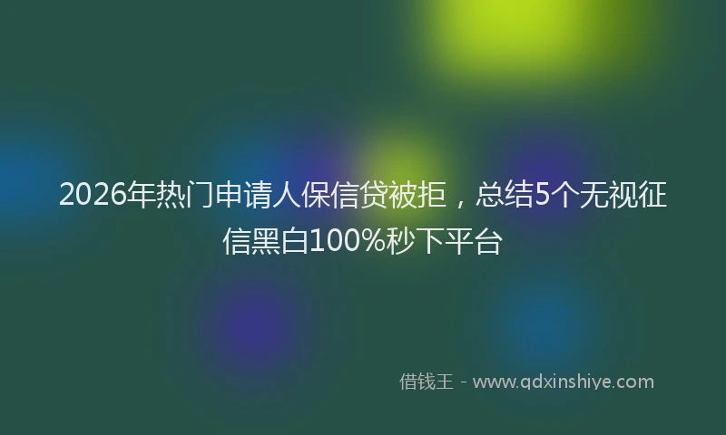 2026年热门申请人保信贷被拒，总结5个无视征信黑白100%秒下平台