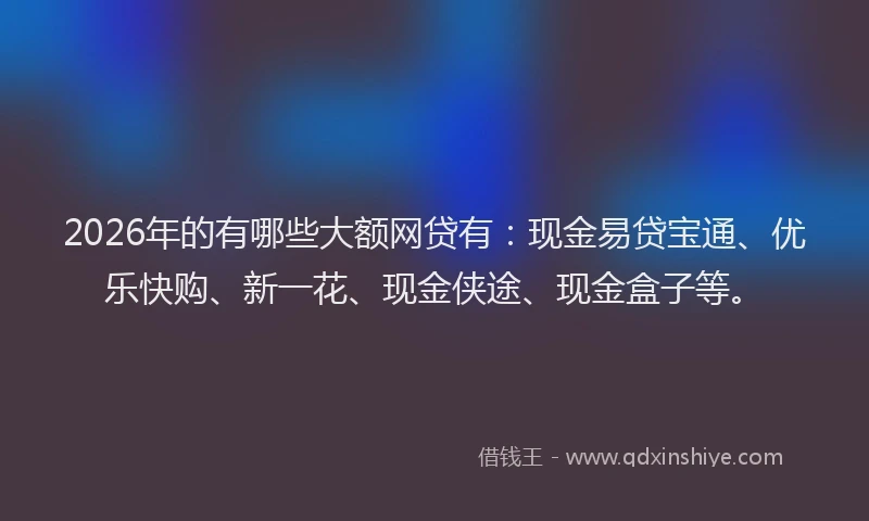 2026年的有哪些大额网贷有：现金易贷宝通、优乐快购、新一花、现金侠途、现金盒子等。