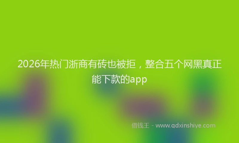 2026年热门浙商有砖也被拒，整合五个网黑真正能下款的app