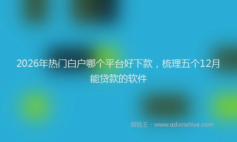 2026年热门白户哪个平台好下款，梳理五个12月能贷款的软件