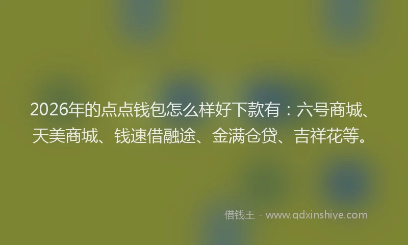 2026年的点点钱包怎么样好下款有：六号商城、天美商城、钱速借融途、金满仓贷、吉祥花等。