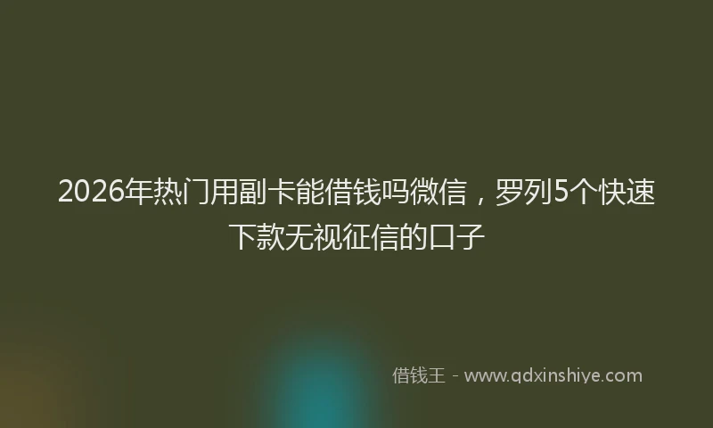 2026年热门用副卡能借钱吗微信，罗列5个快速下款无视征信的口子