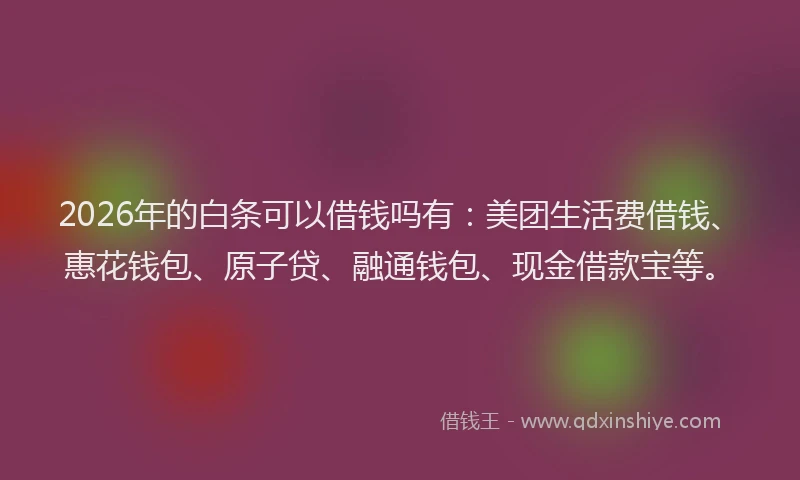 2026年的白条可以借钱吗有：美团生活费借钱、惠花钱包、原子贷、融通钱包、现金借款宝等。