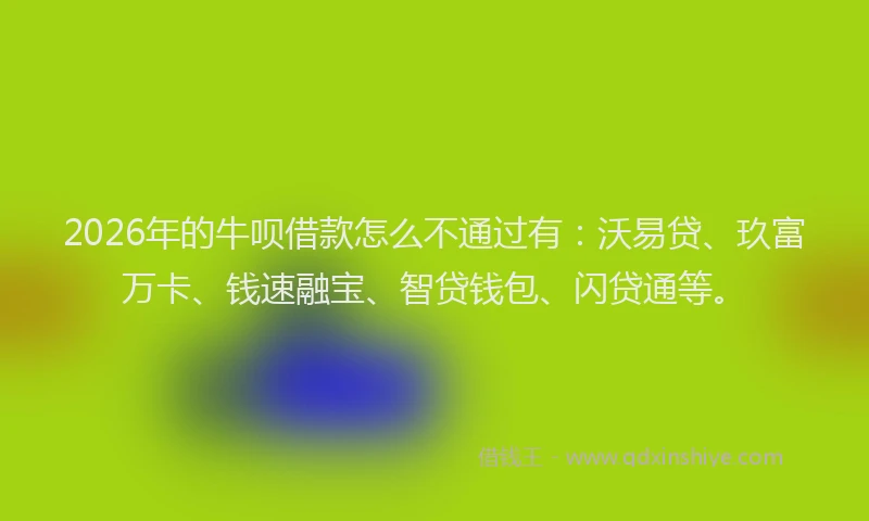 2026年的牛呗借款怎么不通过有：沃易贷、玖富万卡、钱速融宝、智贷钱包、闪贷通等。