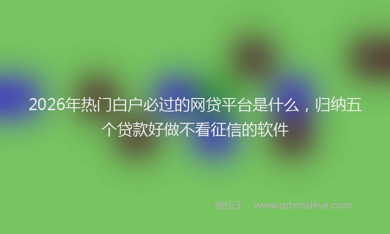 2026年热门白户必过的网贷平台是什么，归纳五个贷款好做不看征信的软件
