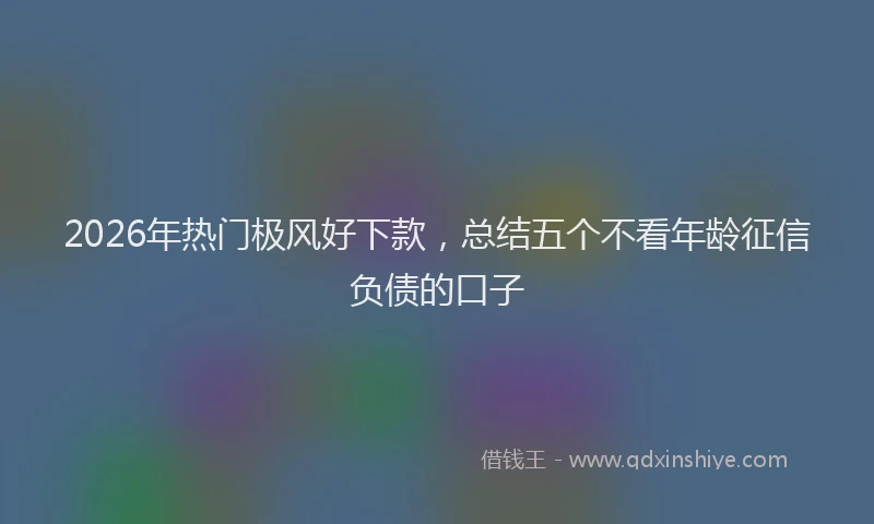 2026年热门极风好下款，总结五个不看年龄征信负债的口子