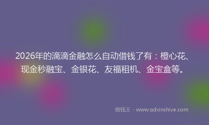 2026年的滴滴金融怎么自动借钱了有：橙心花、现金秒融宝、金银花、友福租机、金宝盒等。