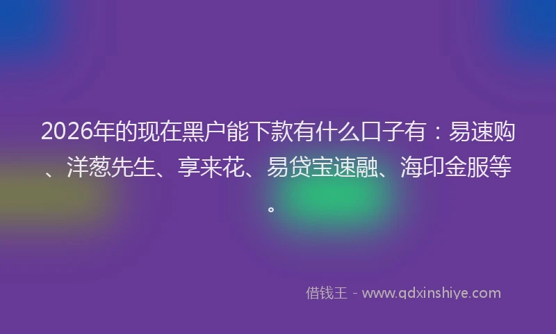 2026年的现在黑户能下款有什么口子有：易速购、洋葱先生、享来花、易贷宝速融、海印金服等。