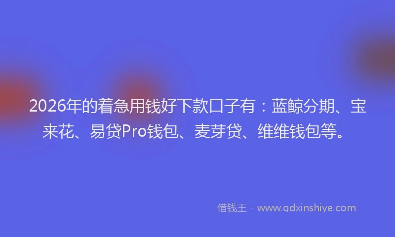 2026年的着急用钱好下款口子有：蓝鲸分期、宝来花、易贷Pro钱包、麦芽贷、维维钱包等。