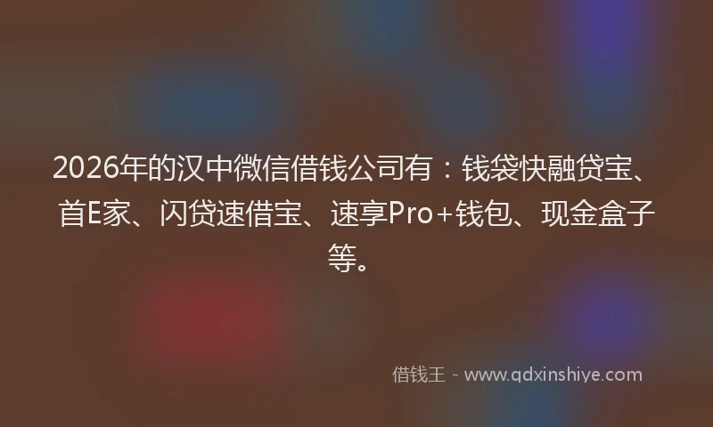 2026年的汉中微信借钱公司有：钱袋快融贷宝、首E家、闪贷速借宝、速享Pro+钱包、现金盒子等。
