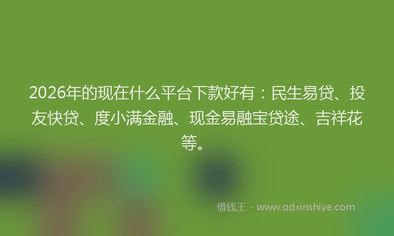 2026年的现在什么平台下款好有：民生易贷、投友快贷、度小满金融、现金易融宝贷途、吉祥花等。