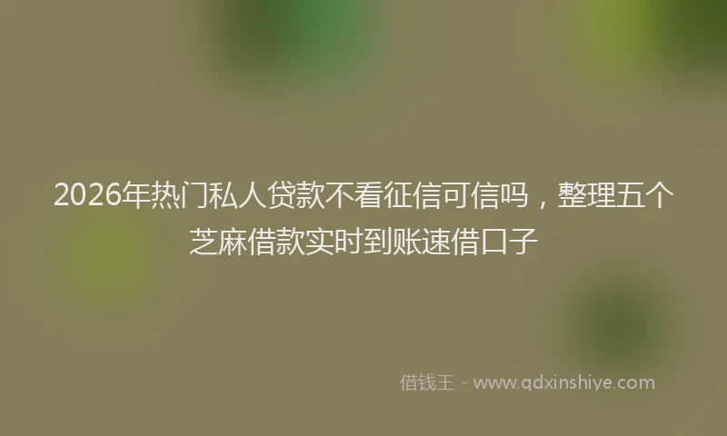 2026年热门私人贷款不看征信可信吗，整理五个芝麻借款实时到账速借口子