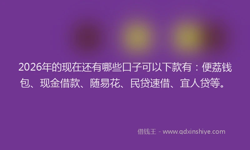 2026年的现在还有哪些口子可以下款有：便荔钱包、现金借款、随易花、民贷速借、宜人贷等。