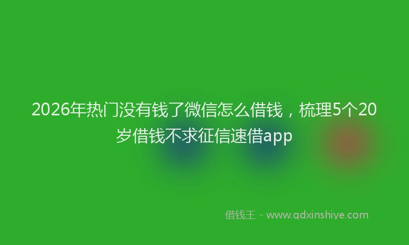 2026年热门没有钱了微信怎么借钱，梳理5个20岁借钱不求征信速借app