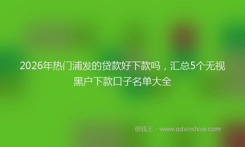 2026年热门浦发的贷款好下款吗，汇总5个无视黑户下款口子名单大全