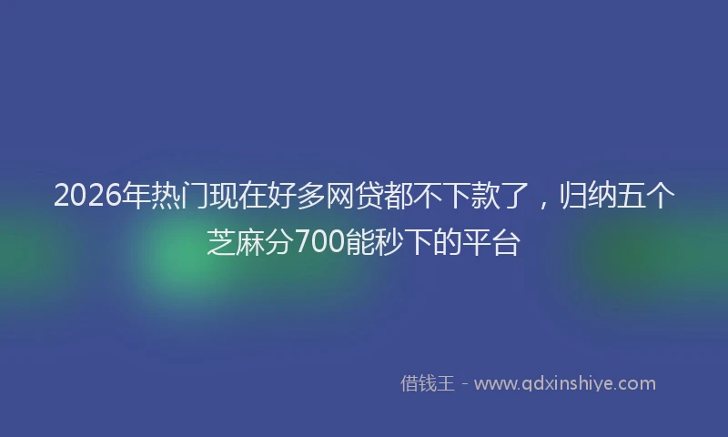 2026年热门现在好多网贷都不下款了，归纳五个芝麻分700能秒下的平台