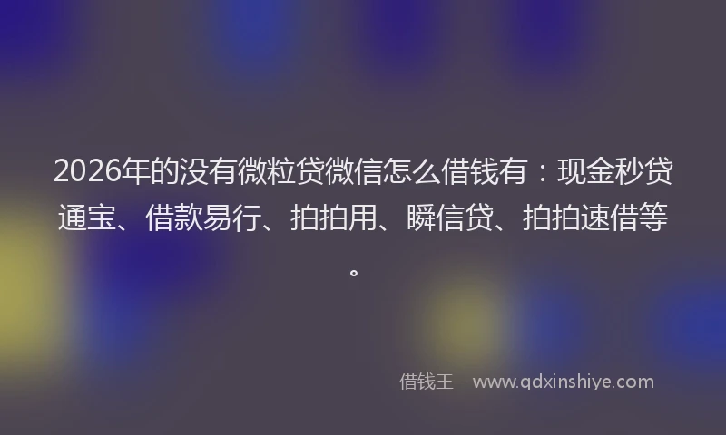 2026年的没有微粒贷微信怎么借钱有：现金秒贷通宝、借款易行、拍拍用、瞬信贷、拍拍速借等。