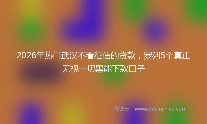 2026年热门武汉不看征信的贷款,罗列5个真正无视一切黑能下款口子