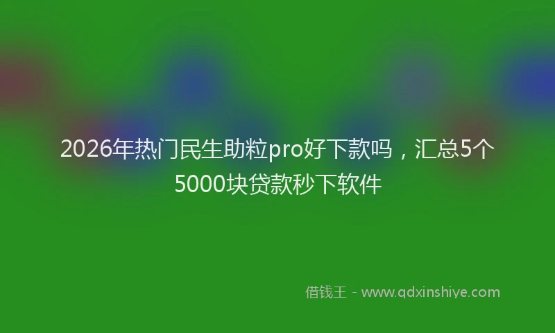 2026年热门民生助粒pro好下款吗，汇总5个5000块贷款秒下软件