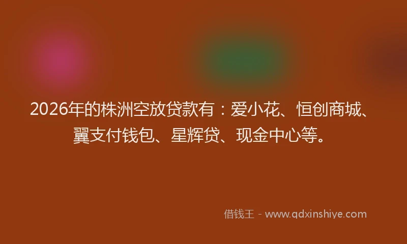 2026年的株洲空放贷款有：爱小花、恒创商城、翼支付钱包、星辉贷、现金中心等。