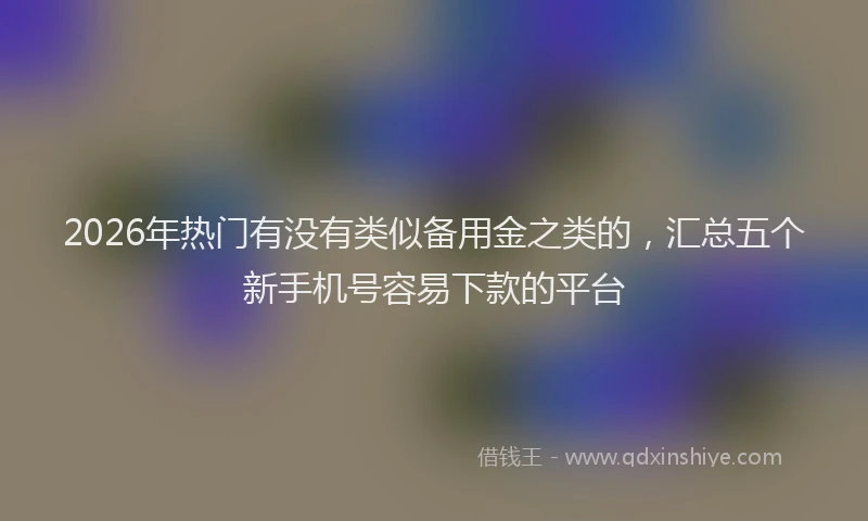 2026年热门有没有类似备用金之类的，汇总五个新手机号容易下款的平台
