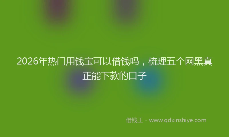2026年热门用钱宝可以借钱吗，梳理五个网黑真正能下款的口子