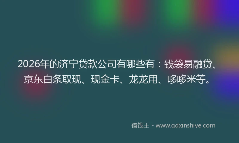 2026年的济宁贷款公司有哪些有：钱袋易融贷、京东白条取现、现金卡、龙龙用、哆哆米等。