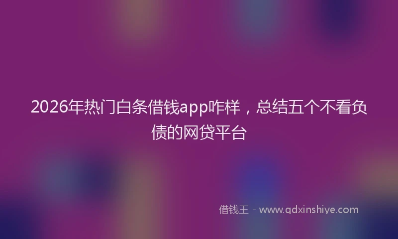 2026年热门白条借钱app咋样，总结五个不看负债的网贷平台