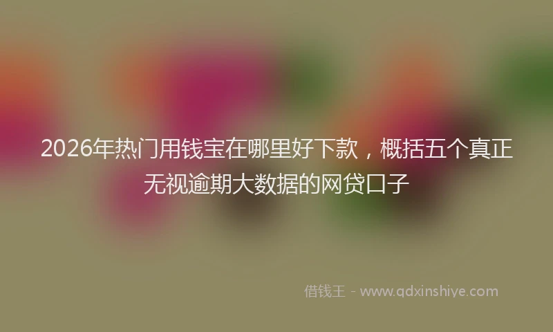 2026年热门用钱宝在哪里好下款，概括五个真正无视逾期大数据的网贷口子