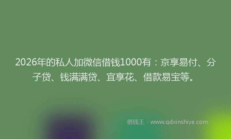 2026年的私人加微信借钱1000有：京享易付、分子贷、钱满满贷、宜享花、借款易宝等。