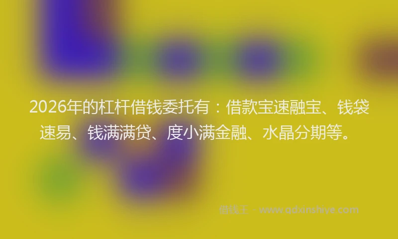 2026年的杠杆借钱委托有：借款宝速融宝、钱袋速易、钱满满贷、度小满金融、水晶分期等。